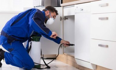 O time da Trombim vai tirar suas principais dúvidas sobre dedetização comercial e residencial!